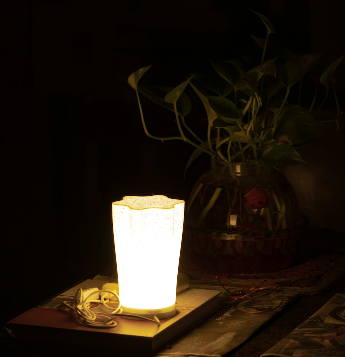 A glowing lamp sits on a table with plants