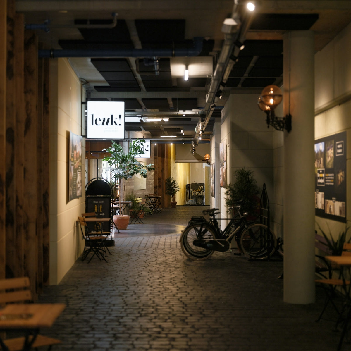 Interior hallway with bicycle and plants