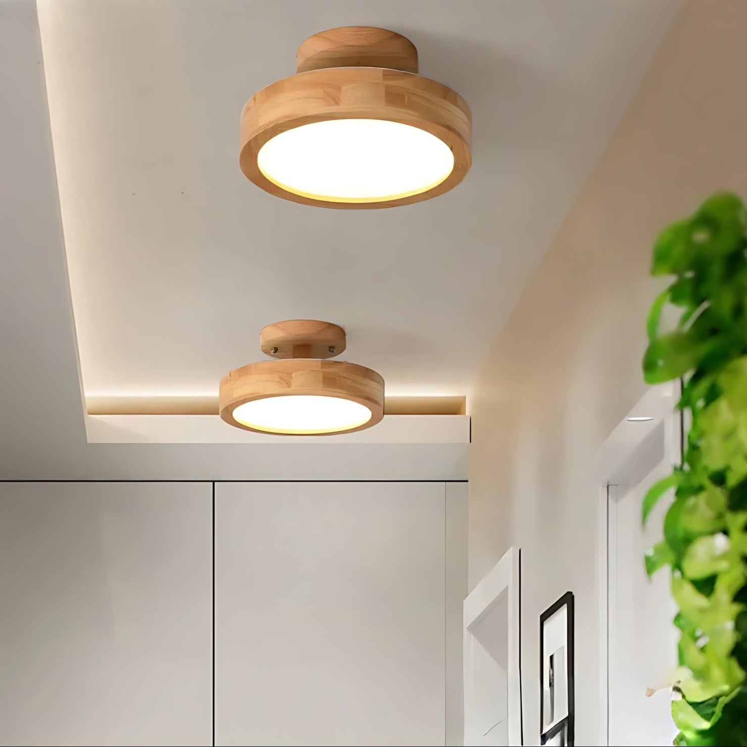 Two wooden ceiling lights in a room with a plant in the corner.