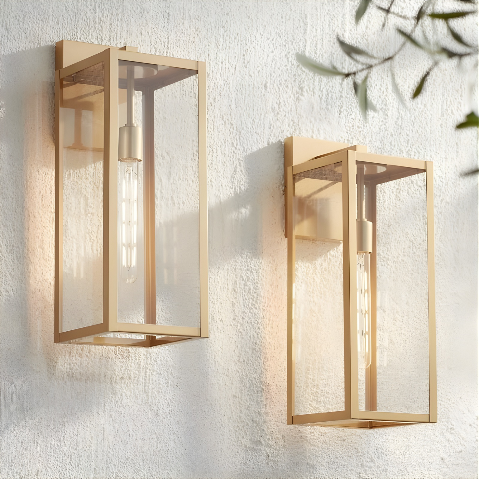 Two gold outdoor wall lights on a white wall with a plant in the background.