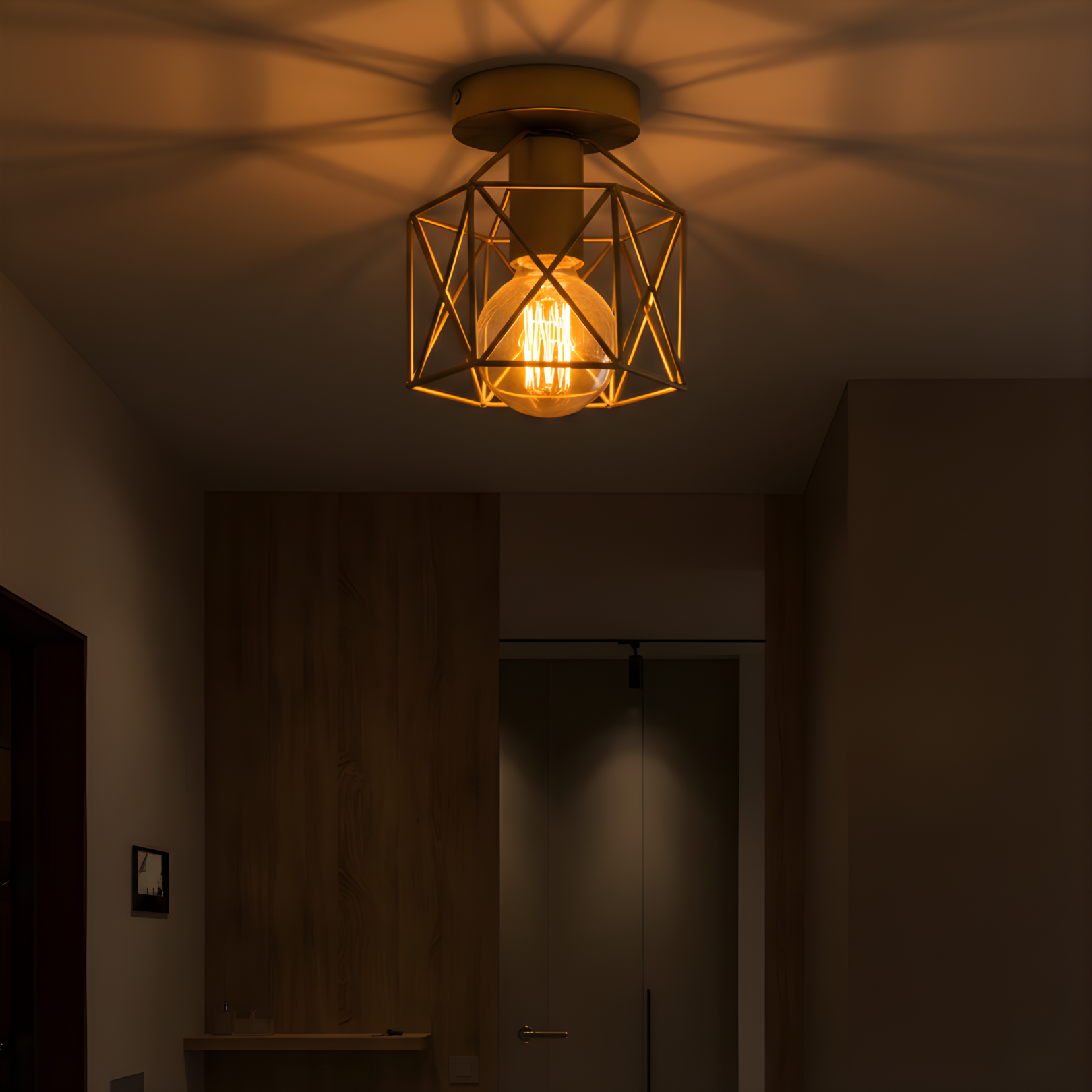 Velden - Retro Ceiling Light- Minimalist Industrial Fixture