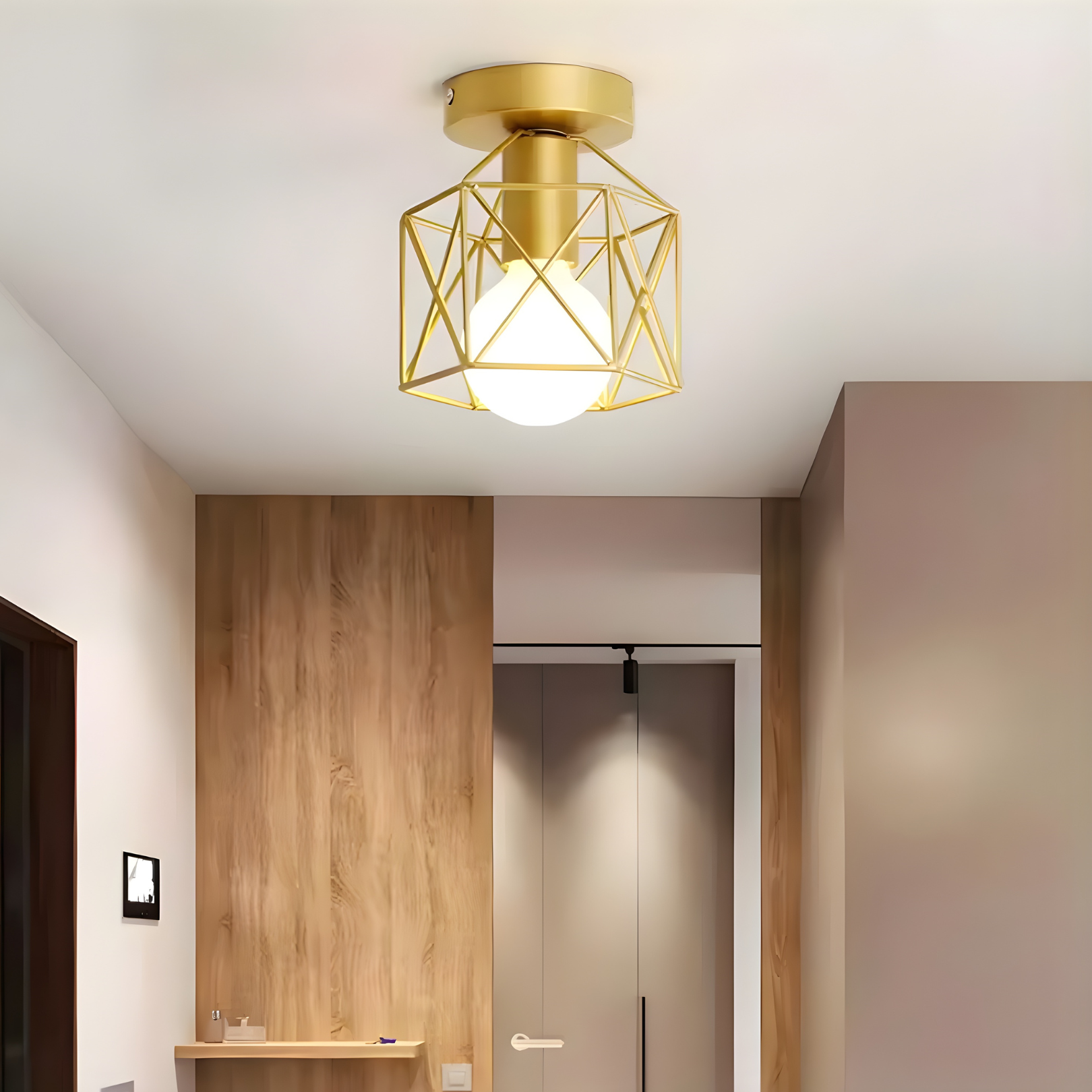 Velden - Retro Ceiling Light- Minimalist Industrial Fixture