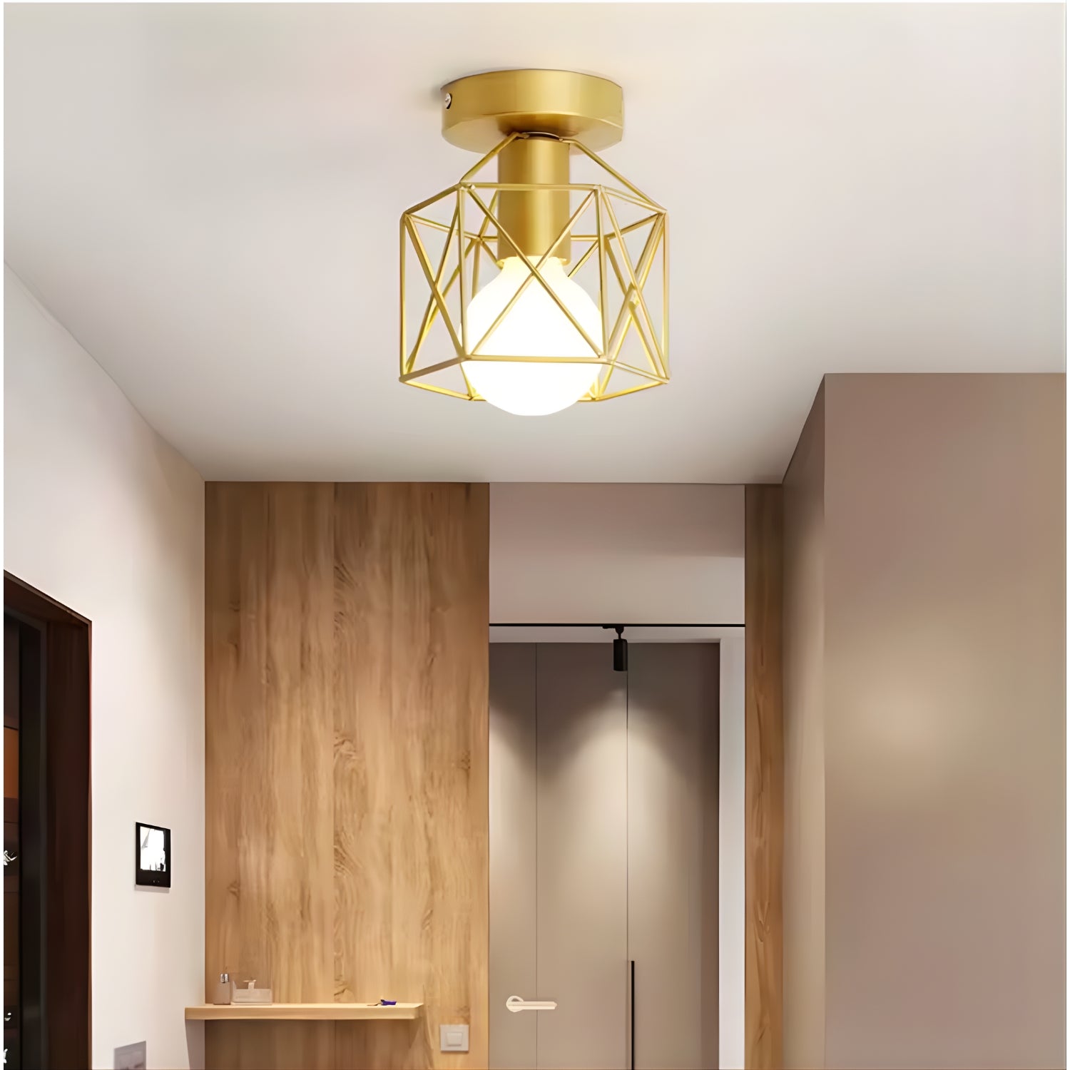 Velden - Retro Ceiling Light- Minimalist Industrial Fixture
