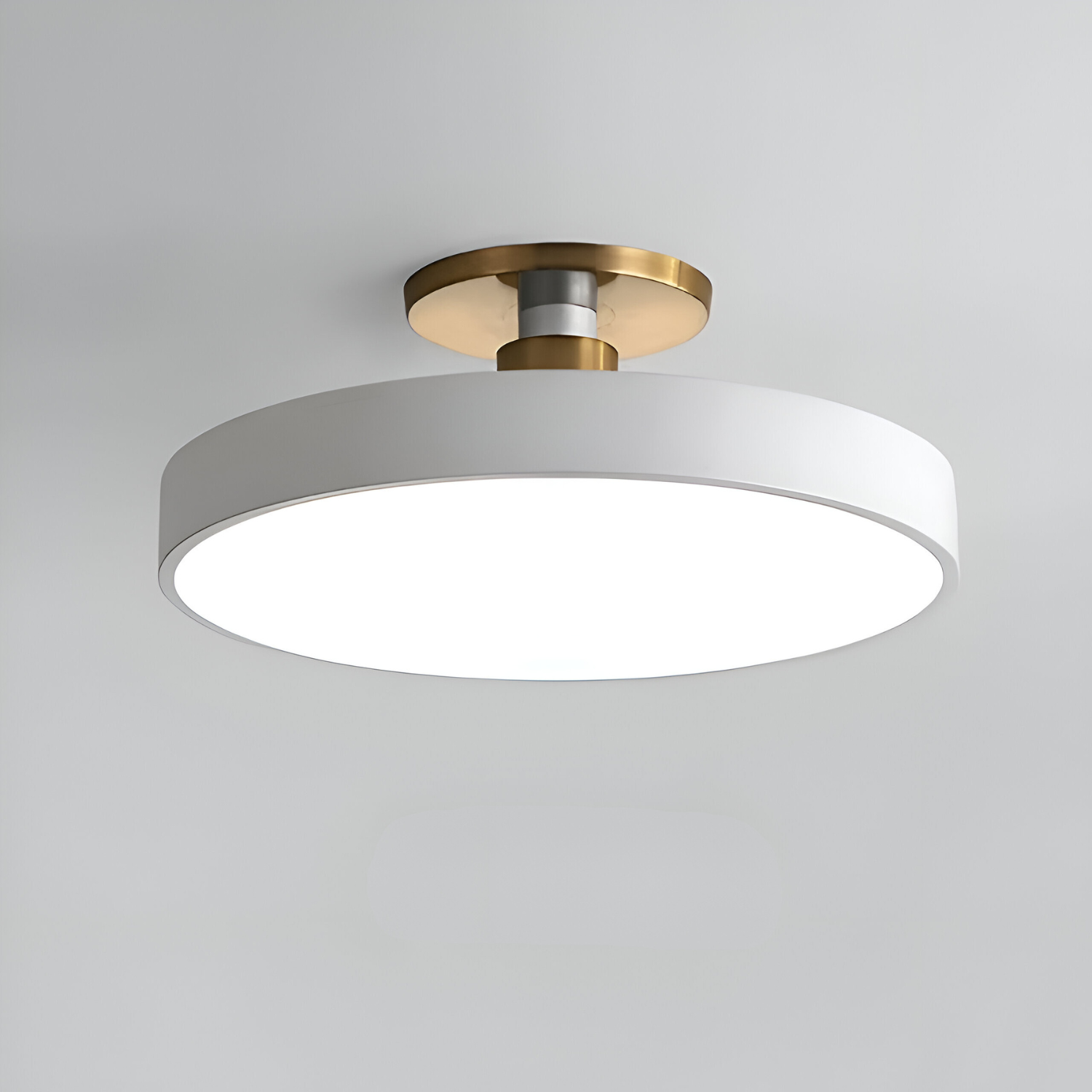 Ceiling round LED flush mount light
