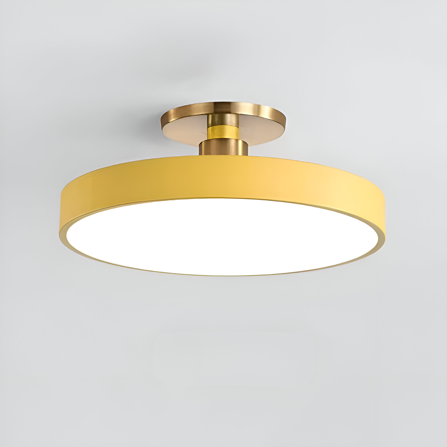 Ceiling round LED flush mount light