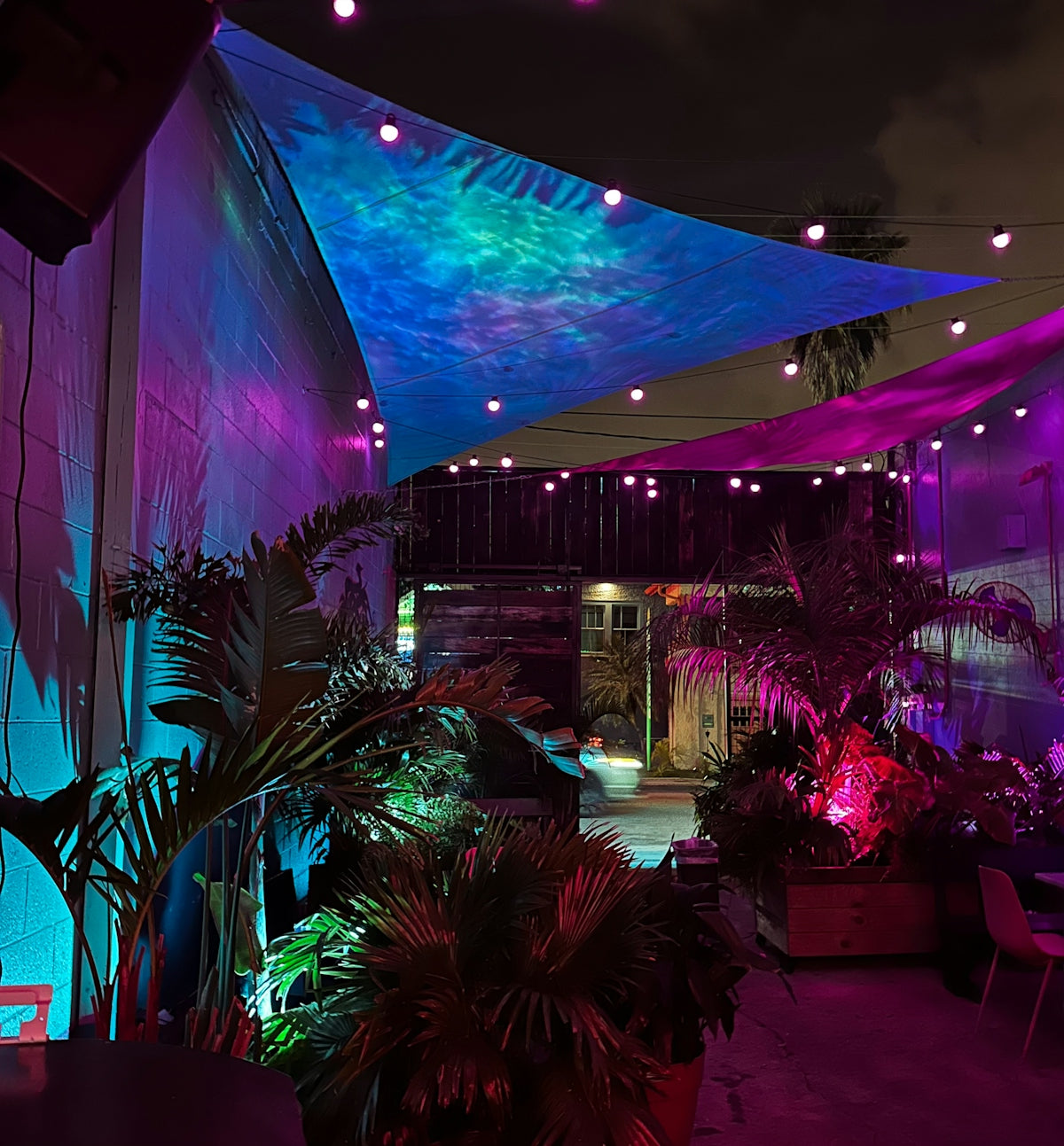 Outdoor patio decorated with colorful lights and plants