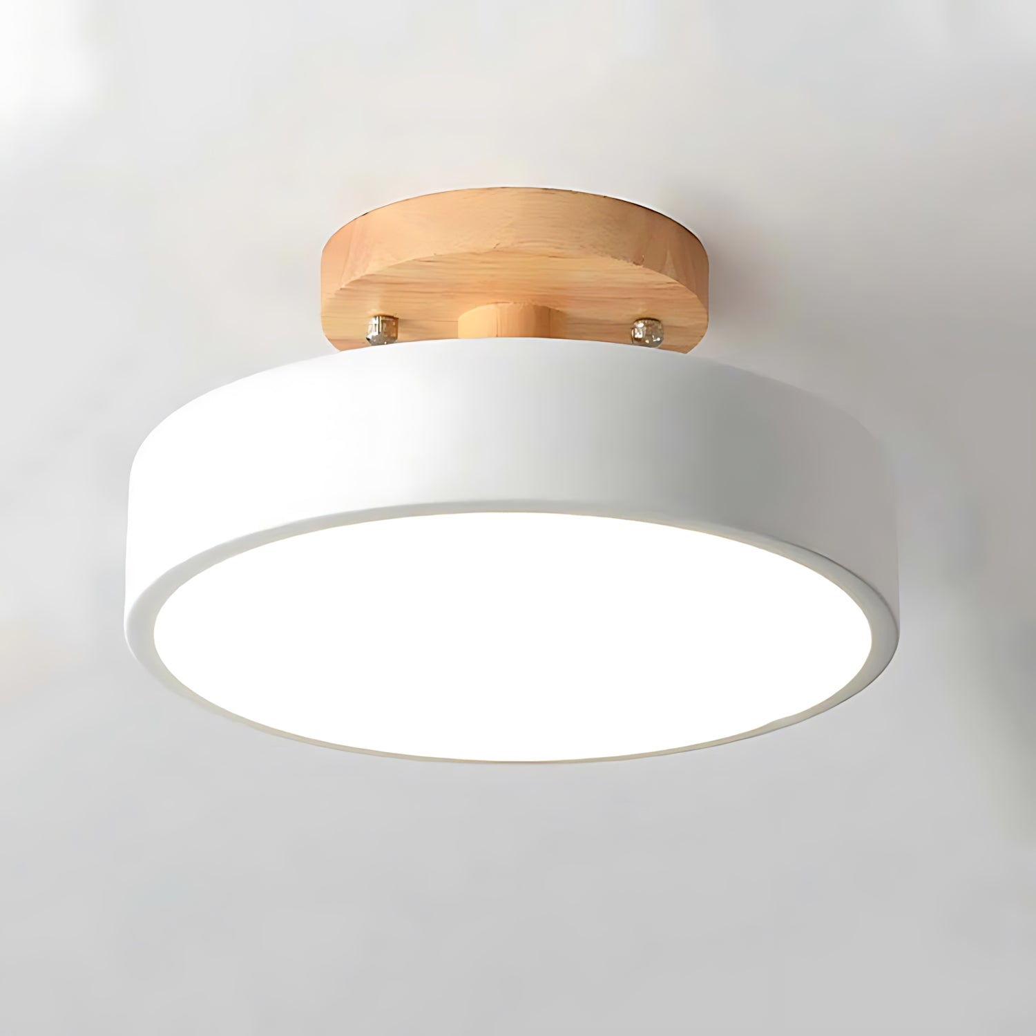Eisenbach - Modern LED Ceiling Lamp
