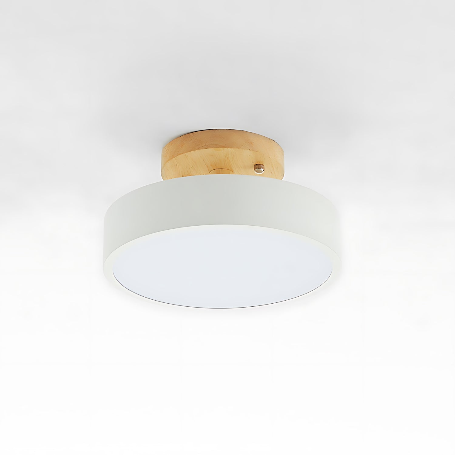 Eisenbach - Modern LED Ceiling Lamp