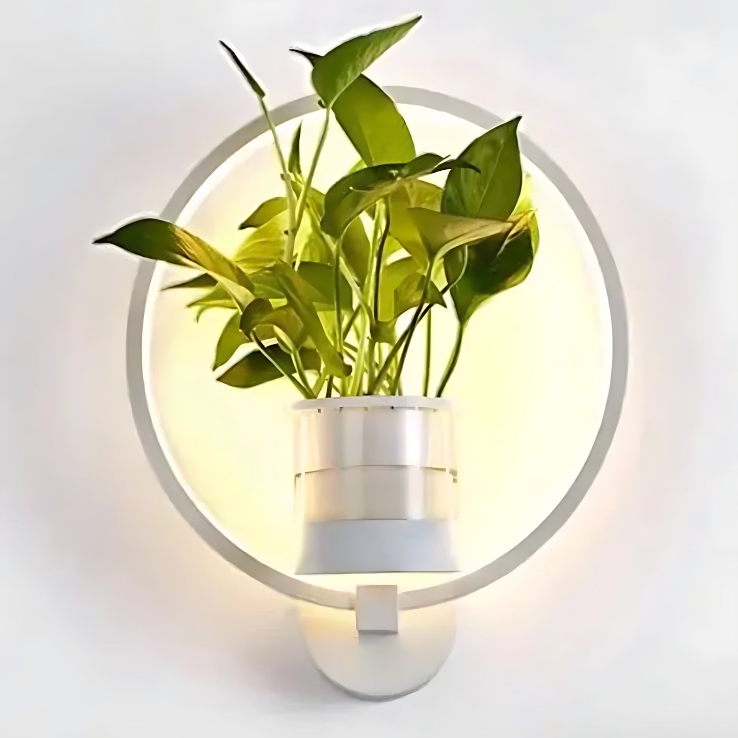 Plant Wall Lamp
