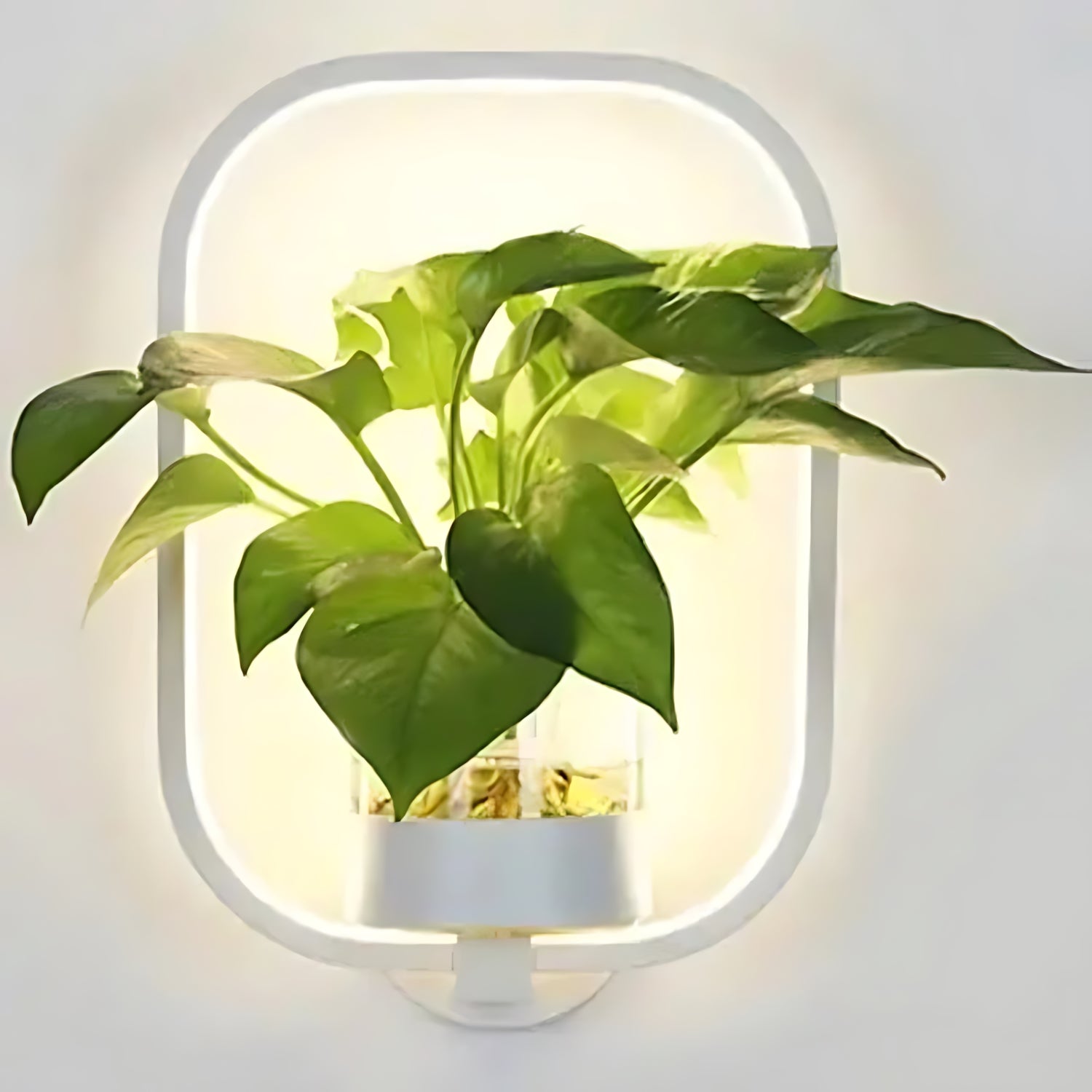 Plant Wall Lamp