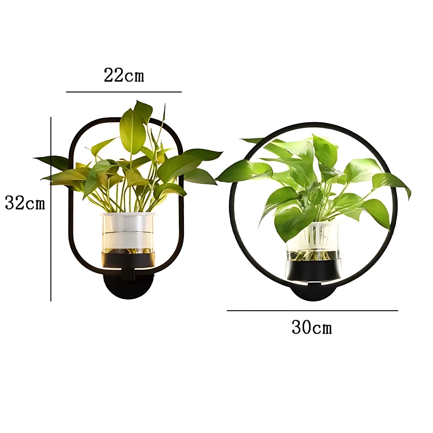 Plant Wall Lamp