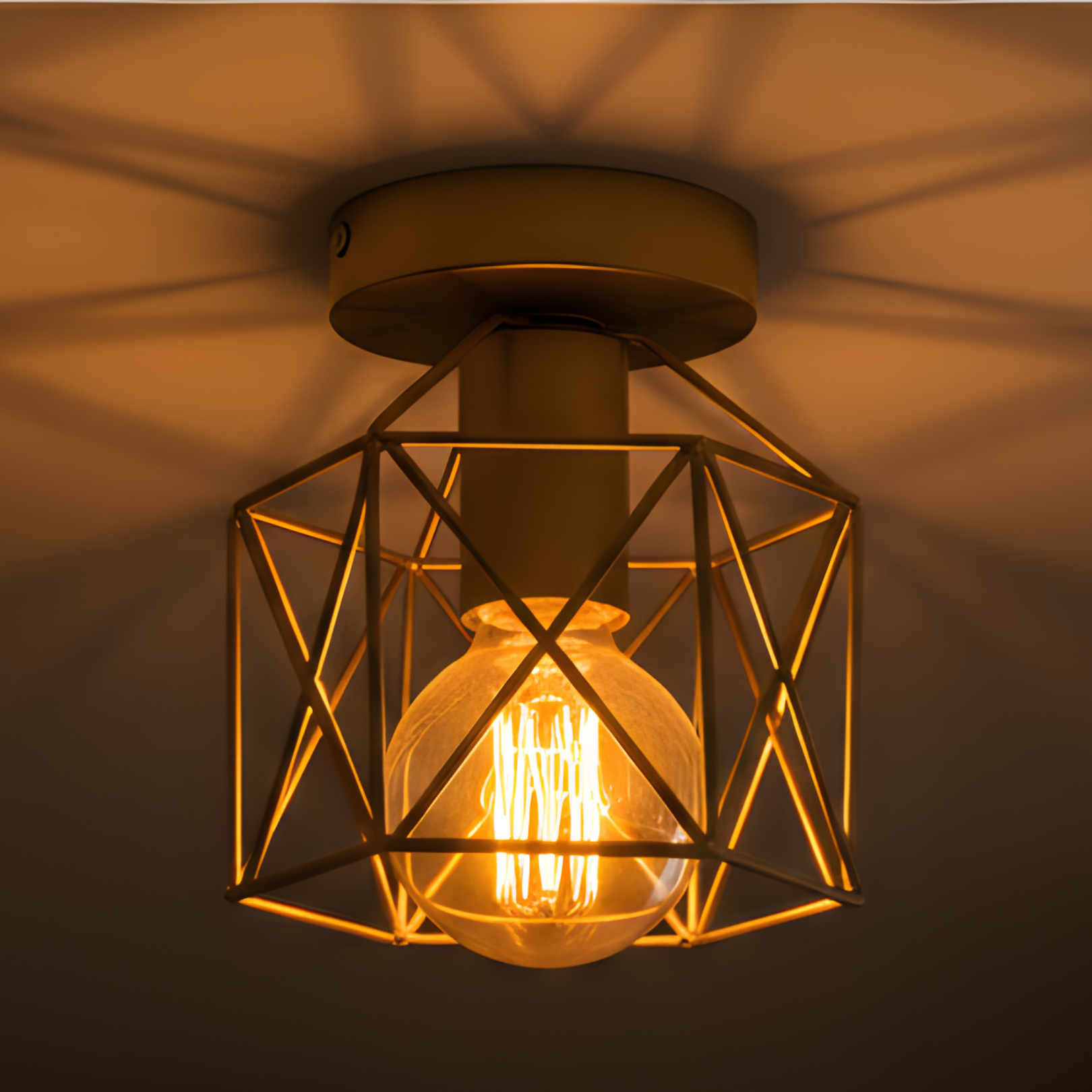 Velden - Retro Ceiling Light- Minimalist Industrial Fixture