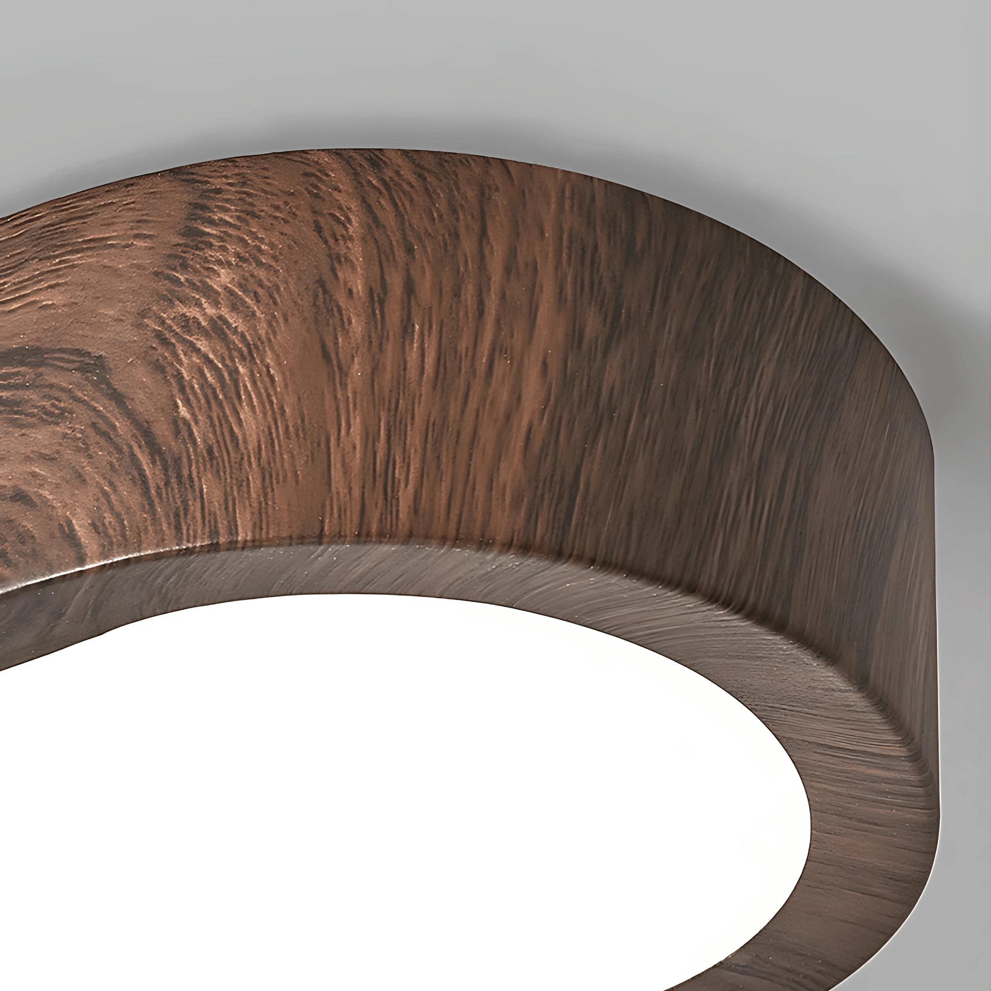 Flush Mount Lights LED Illumination