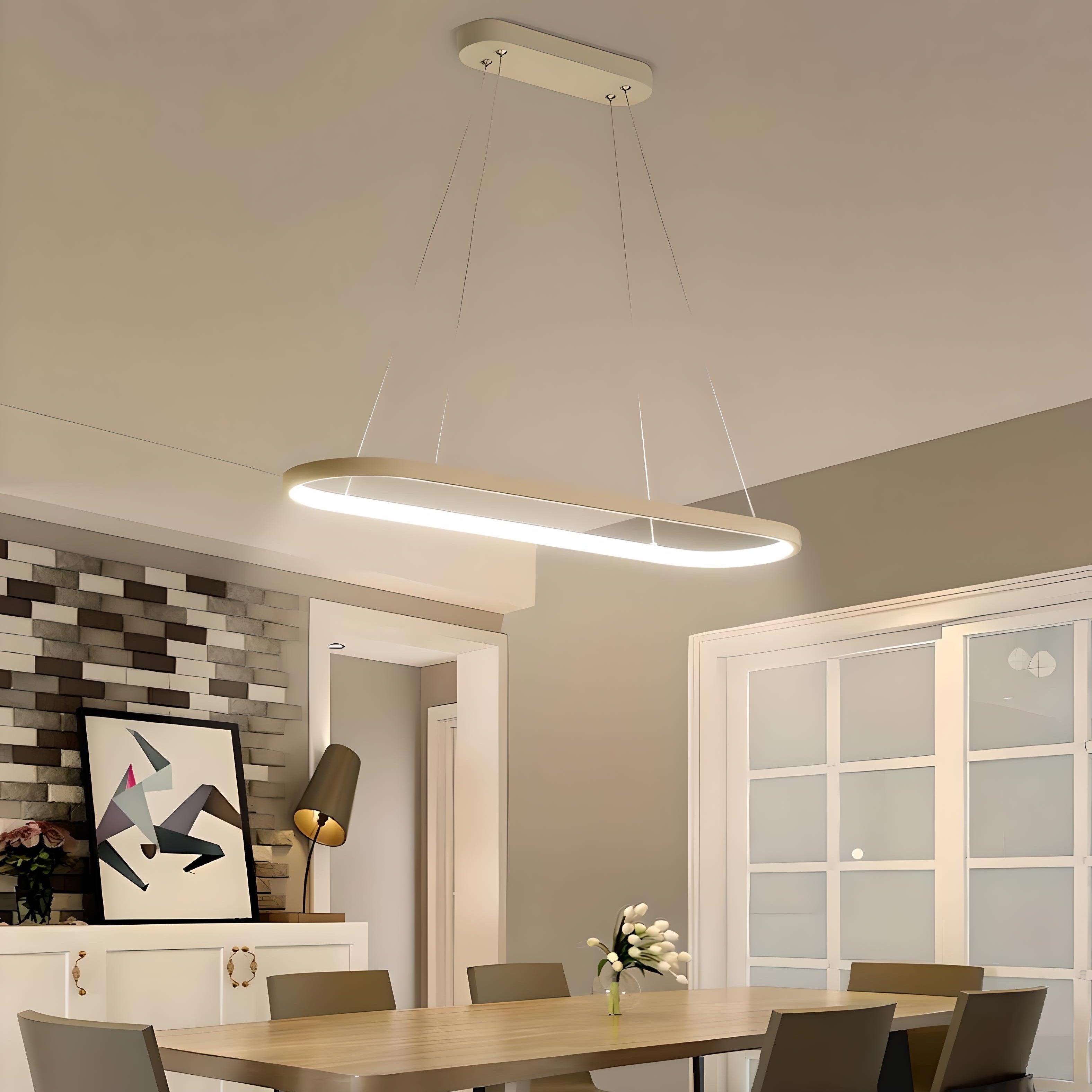 Contemporary Hanging Pendant