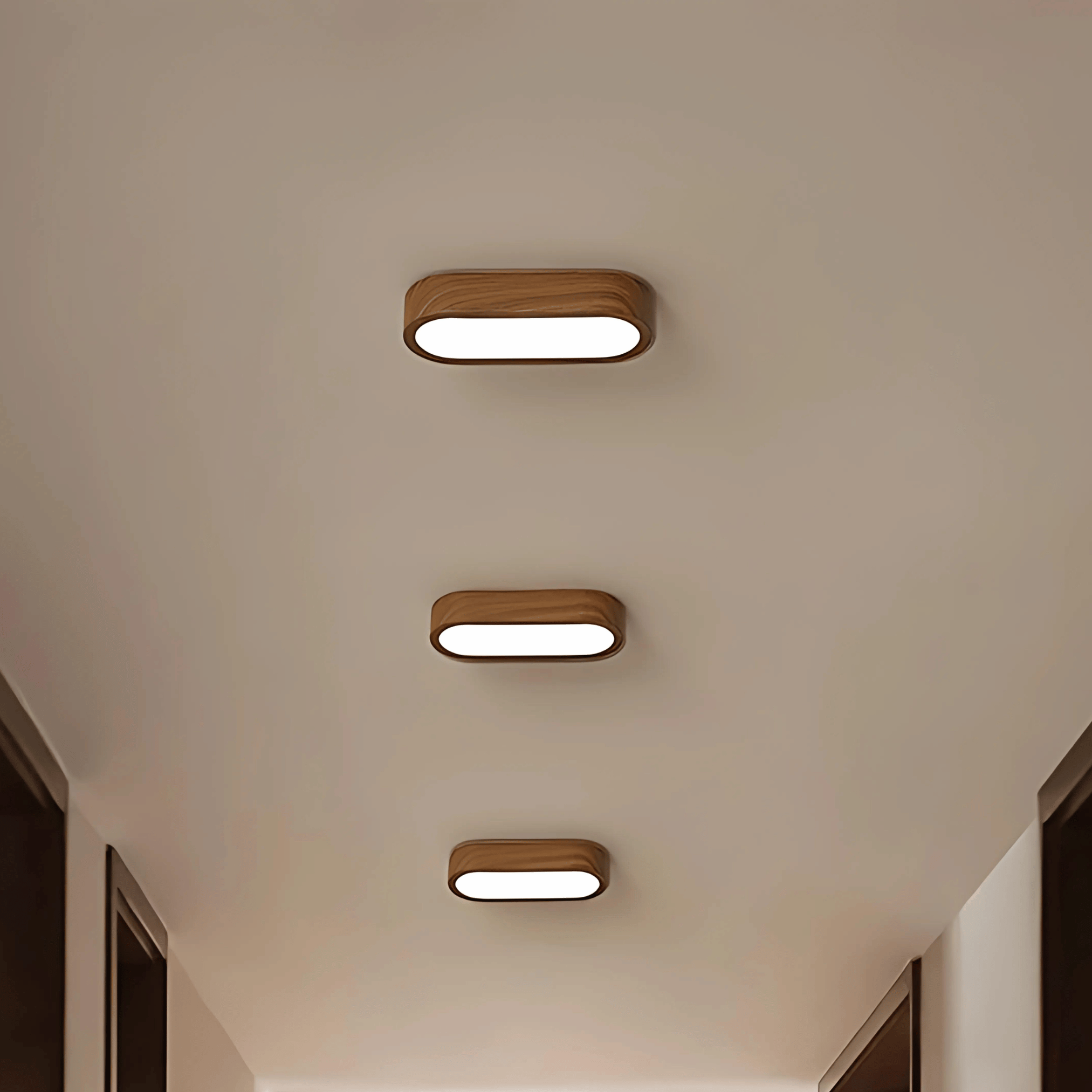 Flush Mount Lights LED Illumination