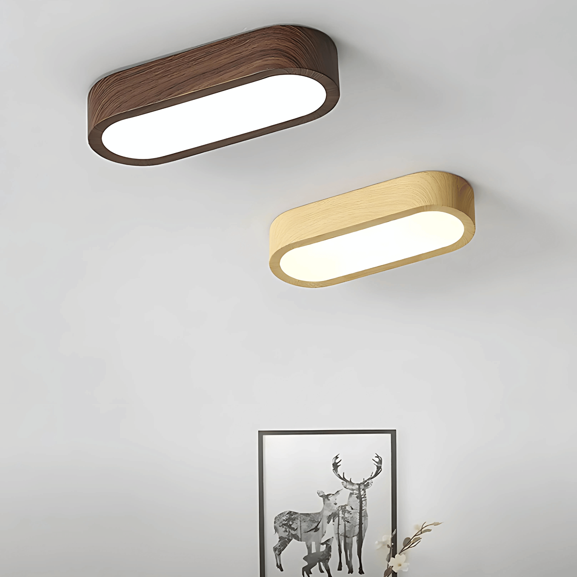 Flush Mount Lights LED Illumination