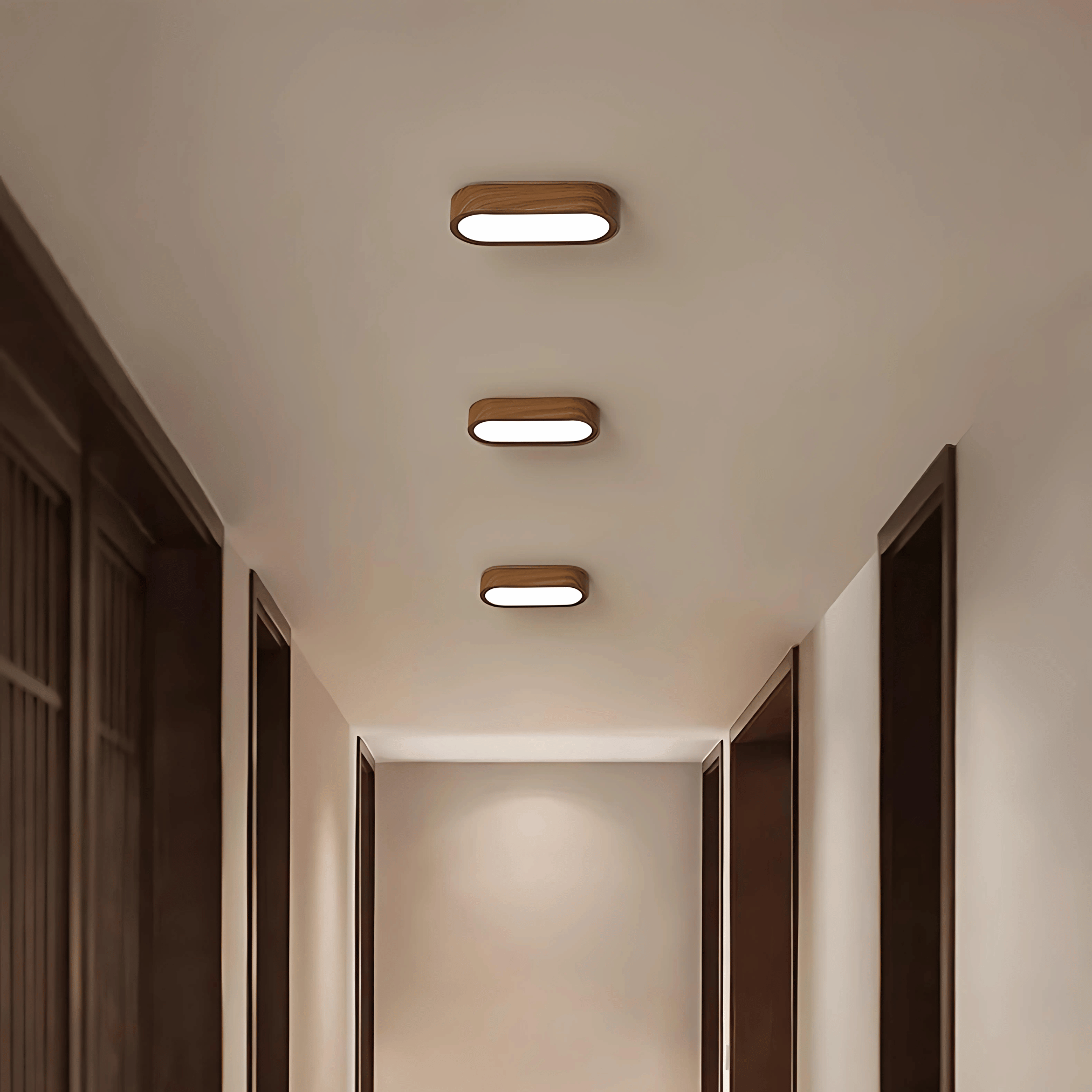 Flush Mount Lights LED Illumination