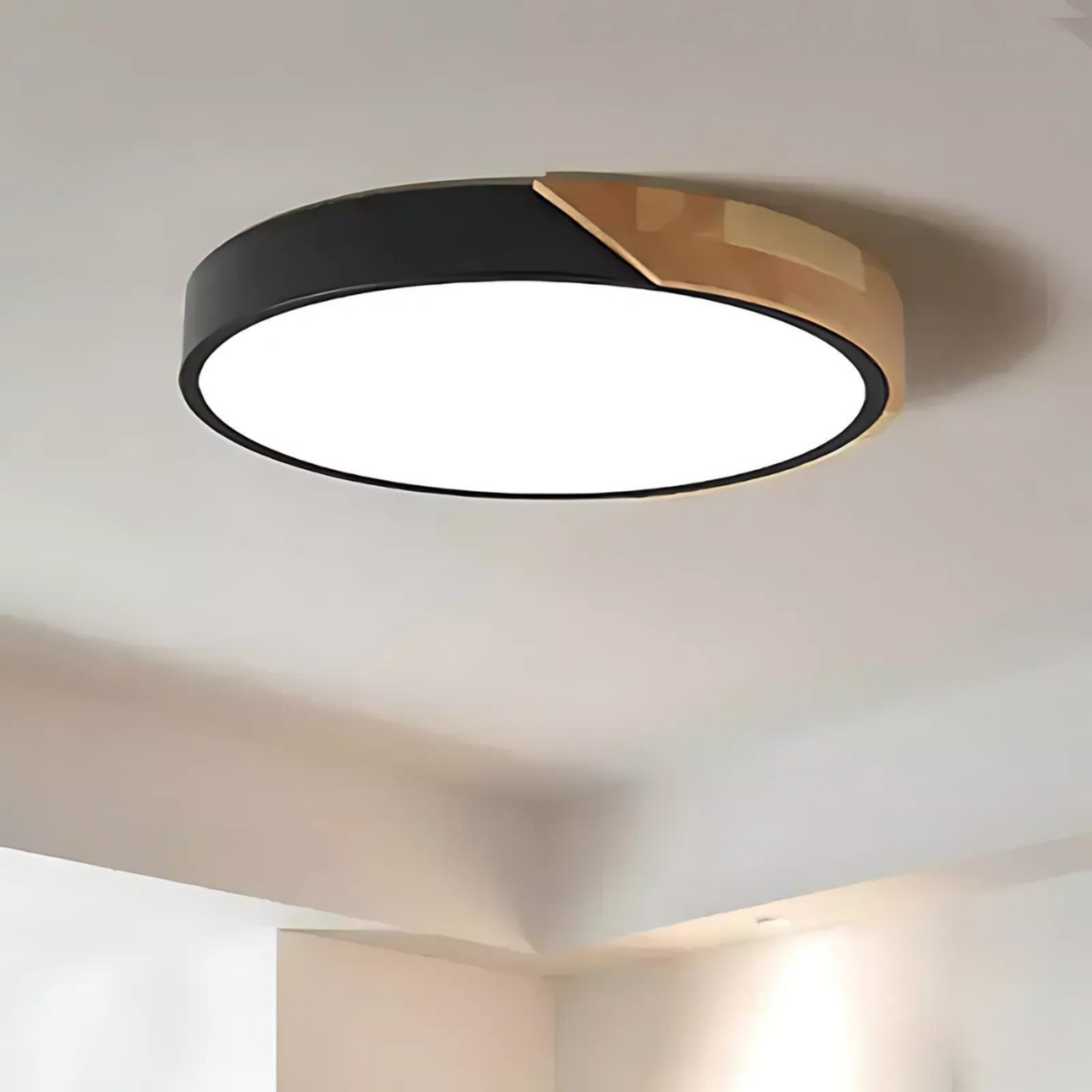 Round Luxe Flush Light