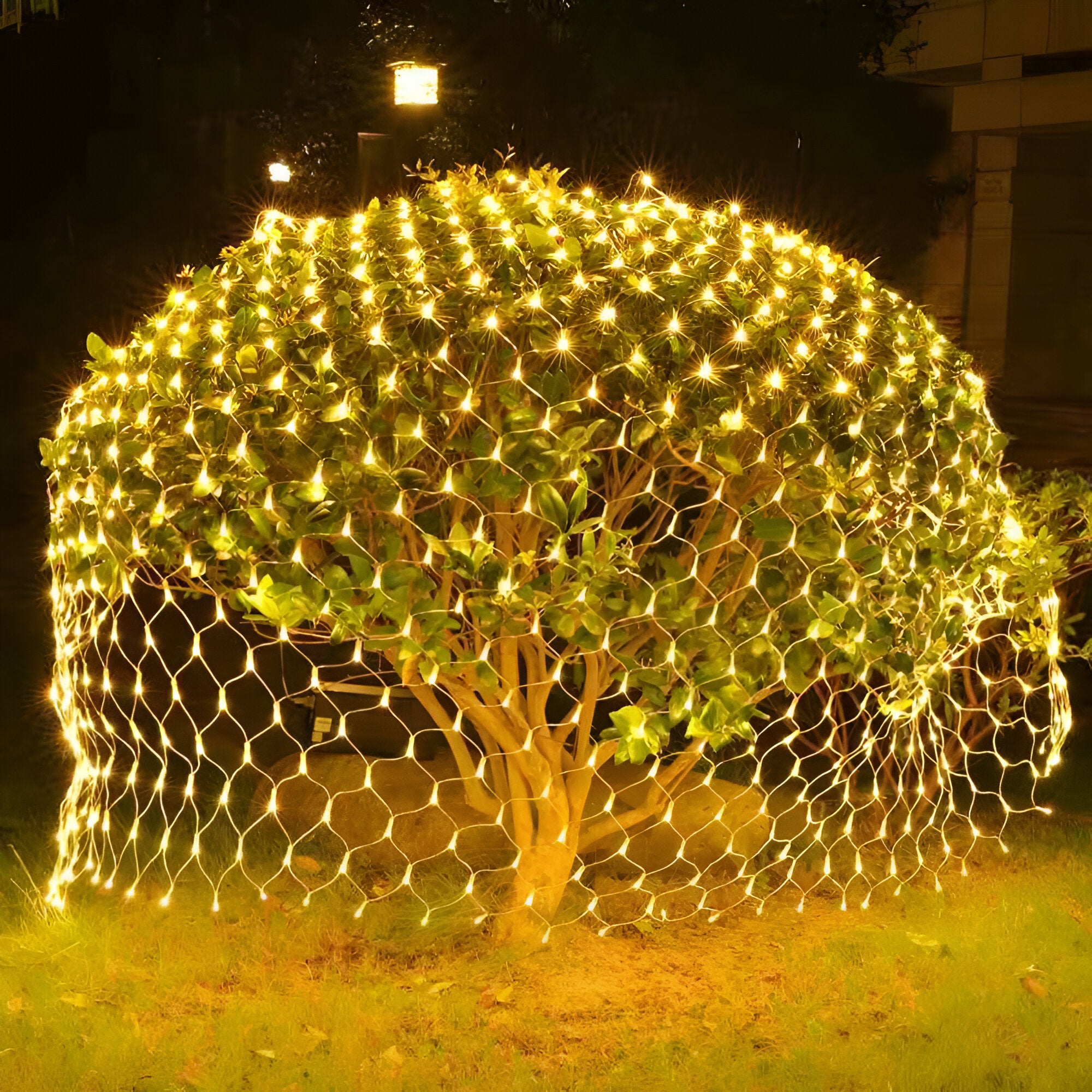 Christmas LED Net Curtain lights